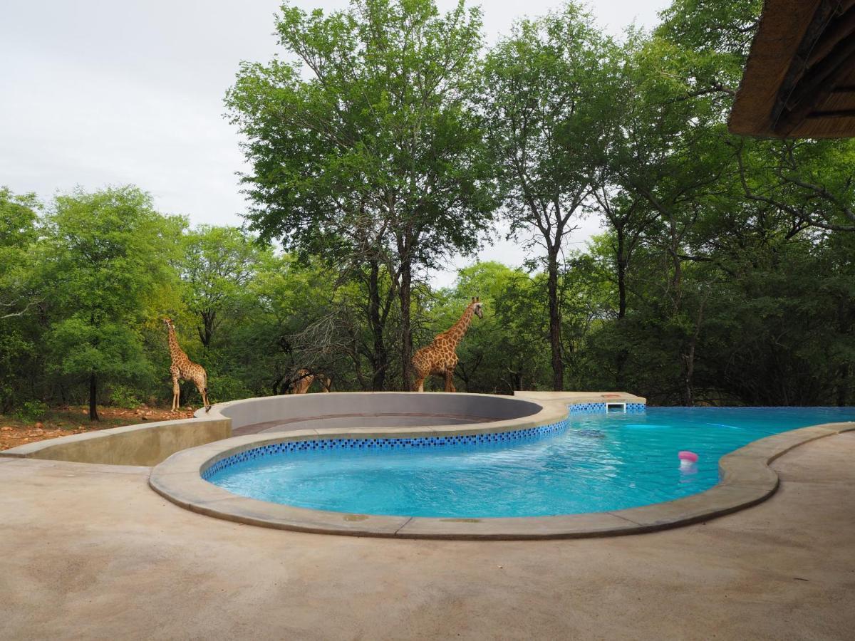 Villa Pata Pata House à Marloth Park Extérieur photo