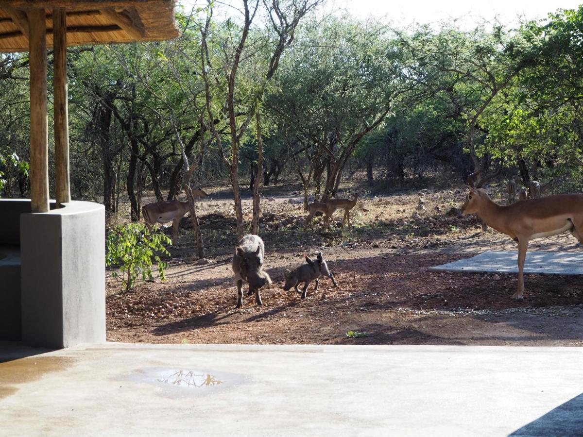 Villa Pata Pata House à Marloth Park Extérieur photo