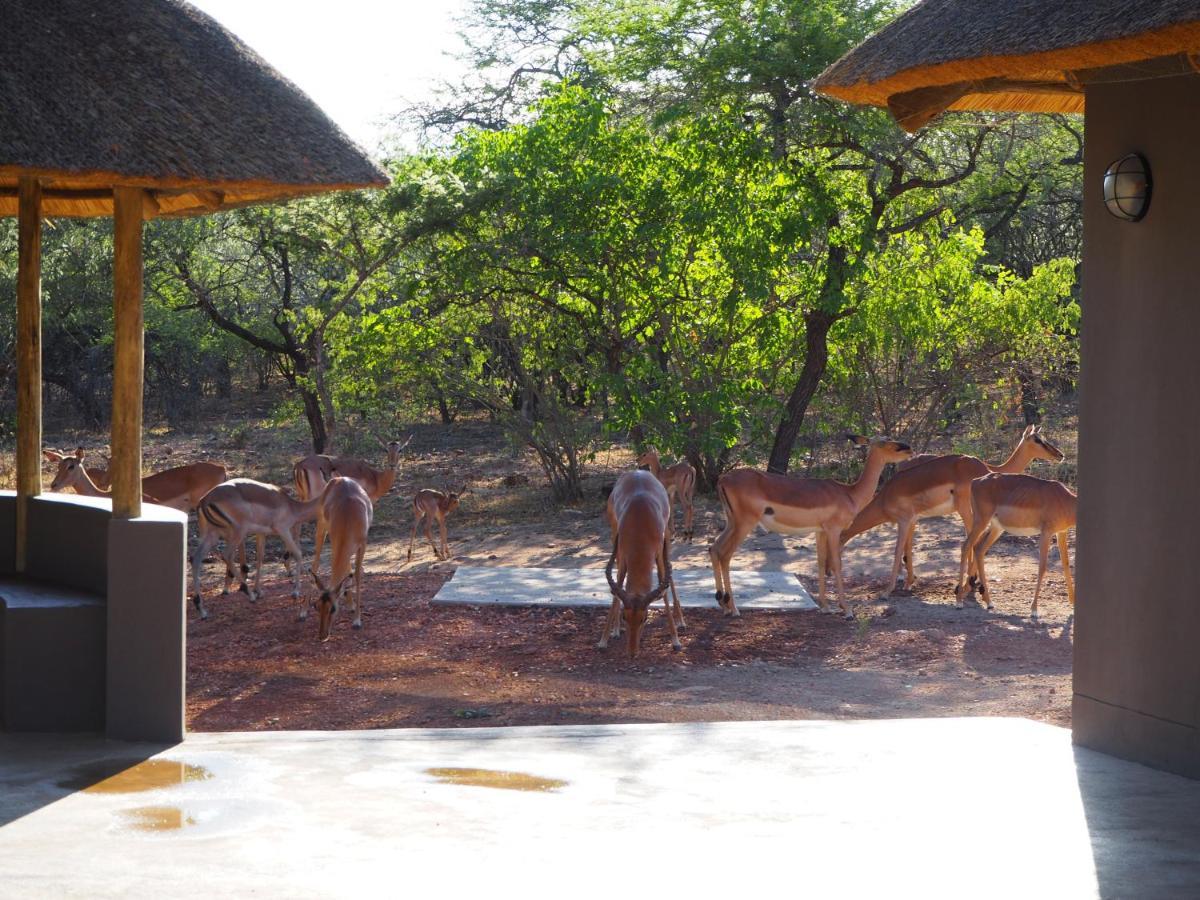 Villa Pata Pata House à Marloth Park Extérieur photo