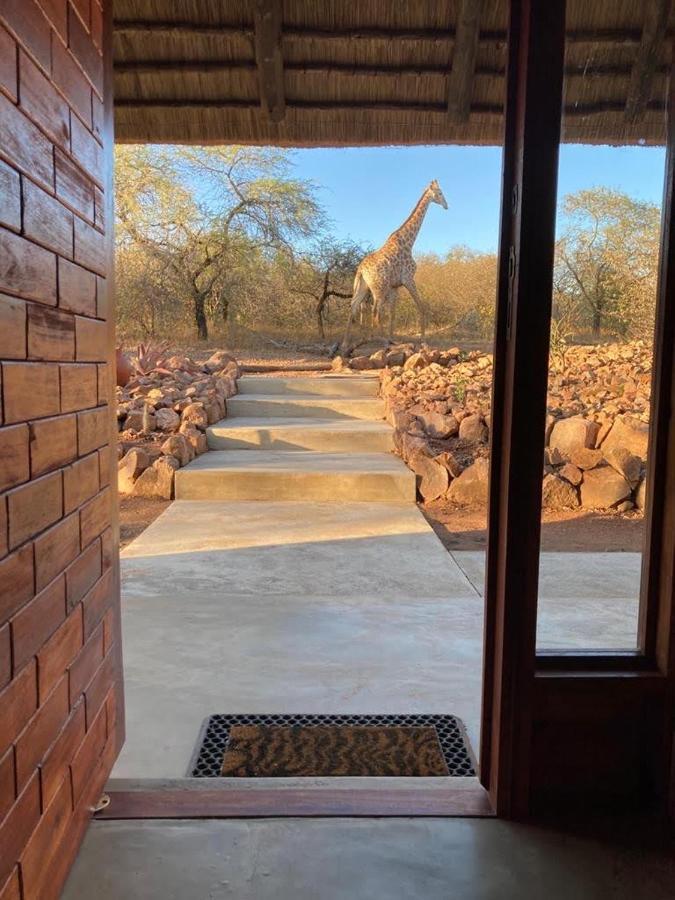 Villa Pata Pata House à Marloth Park Extérieur photo